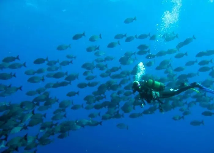 아파트 In Abades With Pool