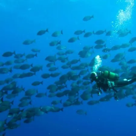 Apartman In Abades With Pool